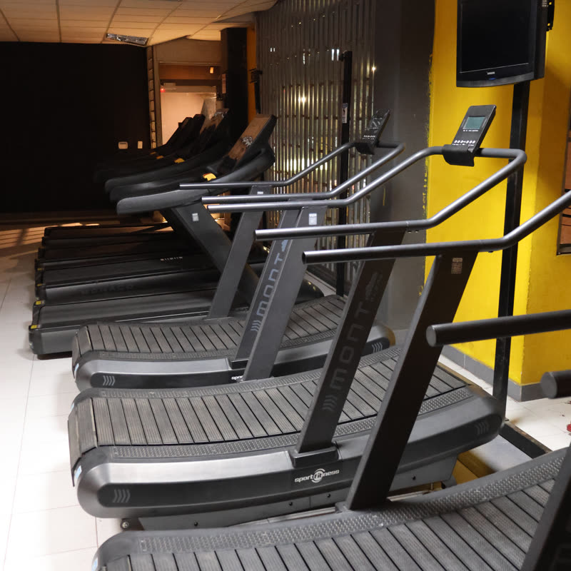 Trotadoras de la zona de cardio